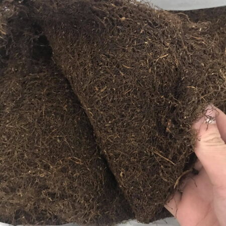 Thuốc Lào Nga Sơn Thanh Hóa