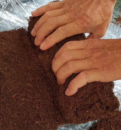 Thuốc Ngon nhức nách.Xa các cô vi !