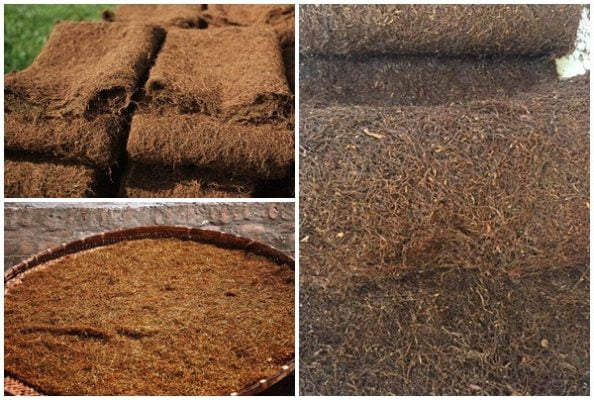 Thuốc lào Quảng Xương, Thuốc lào sạch, mộc 100%