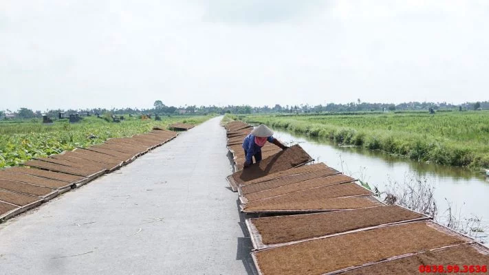 thuốc lào Quảng Định- Quảng Xương