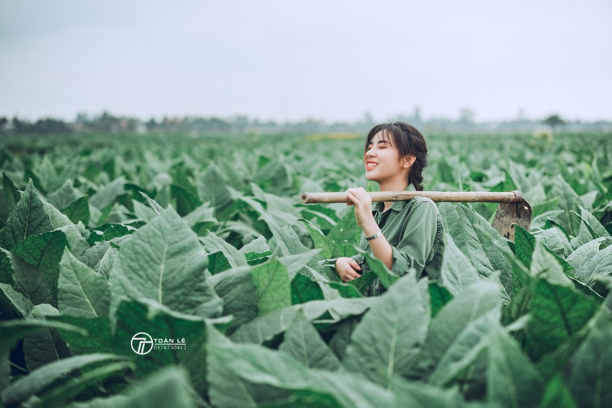 Bán điếu cày đẹp | Dieu cay dep