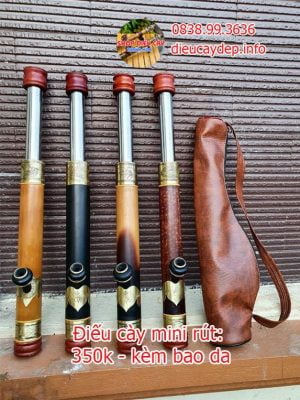 Điếu cày rút bỏ túi