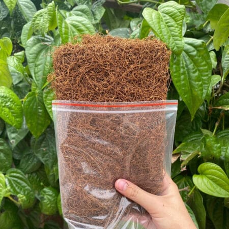 Thuốc Lào Tiên Lãng Hải Phòng Hàng Êm Say