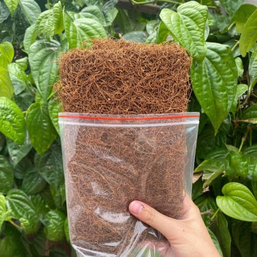 Thuốc Lào Tiên Lãng Hải Phòng Hàng Êm Say