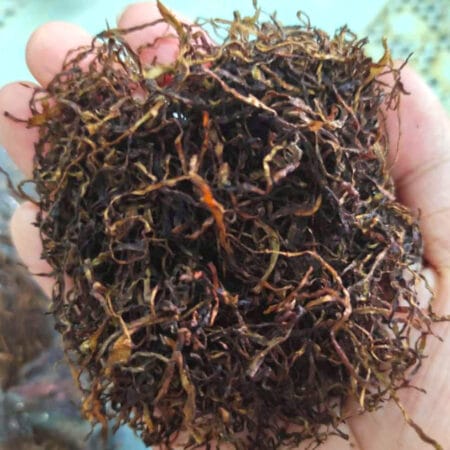 Thuốc Lào Tiến Vua Hàng VIP