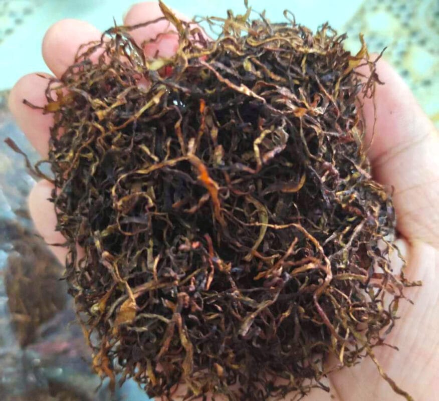 Thuốc Lào Tiến Vua Hàng VIP